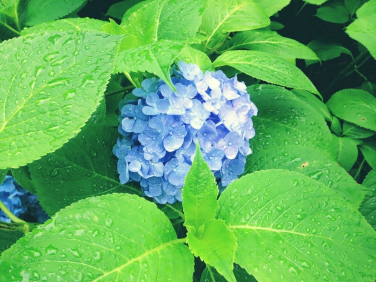 精神保健福祉士がお話し相手になります 話がまとまらなくても大丈夫！気軽に使ってください イメージ2