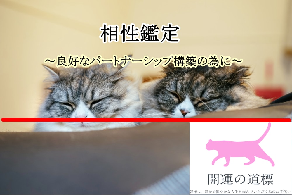 人間関係を豊かに！恋愛・縁談・相性鑑定いたします ◆恋人・夫婦・親子・仕事間での良好なパートナーシップの構築に イメージ2