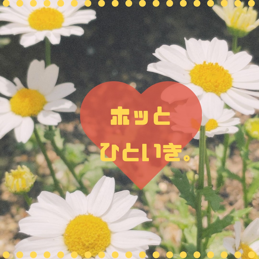 気持ちの整理を手伝います 〜繊細な人へ〜　看護師があなたの不安や悩みに寄り添います。 イメージ1