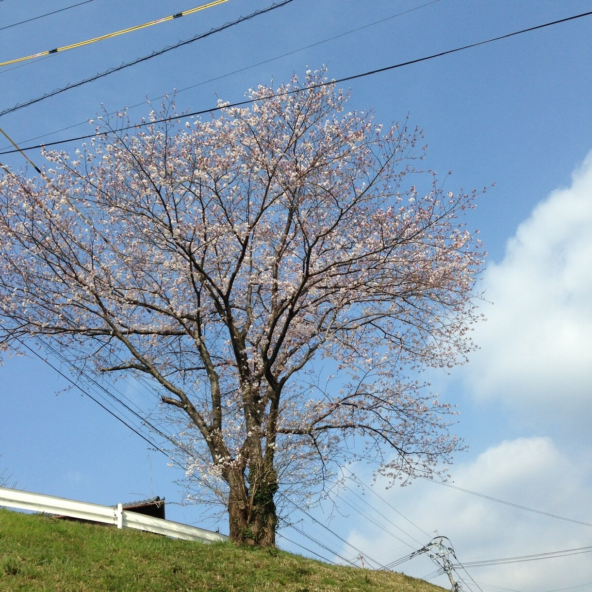なんでも相談聞きます 一人で悩んでいませんか？相談できる人は、いますか？ イメージ1