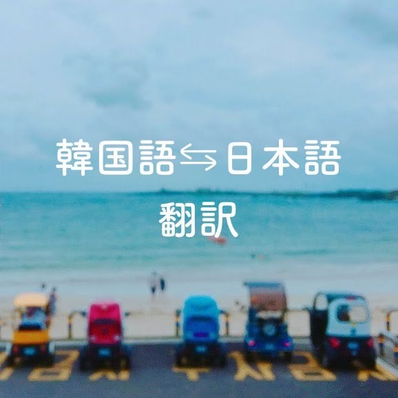 韓国語⇆日本語、翻訳します ＼青学卒／高麗大交換留学経験あり&韓国語検定6級におまかせ♪ イメージ1