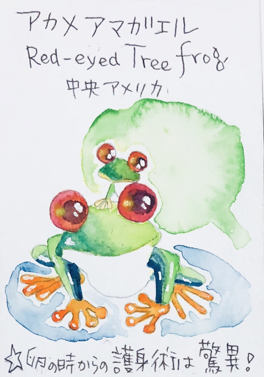 可愛いあなたの大事なペットちゃん描きます 可愛いペットちゃん描きます。デジタル、アナログ対応致します。 イメージ5