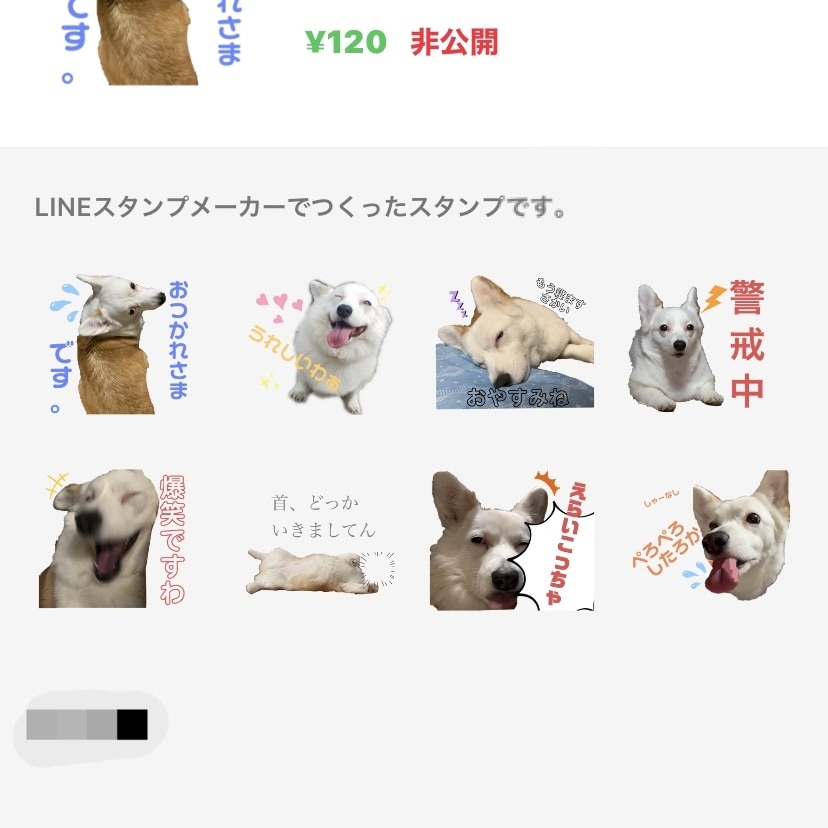 ペットLINEスタンプ制作致します ご依頼者様のペットさんの画像からスタンプ制作させて頂きます イメージ1