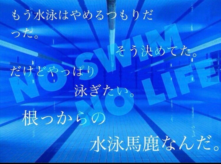 あなたのレベルに合った水泳のメニューを提供します 水泳の自主練や独学で水泳を頑張っている方へ イメージ1