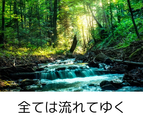 泣きたい時★存分に泣いて✨優しく寄り添います ✨安心の波動の場で✨感情の昇華お手伝いします(*^_^*) イメージ5