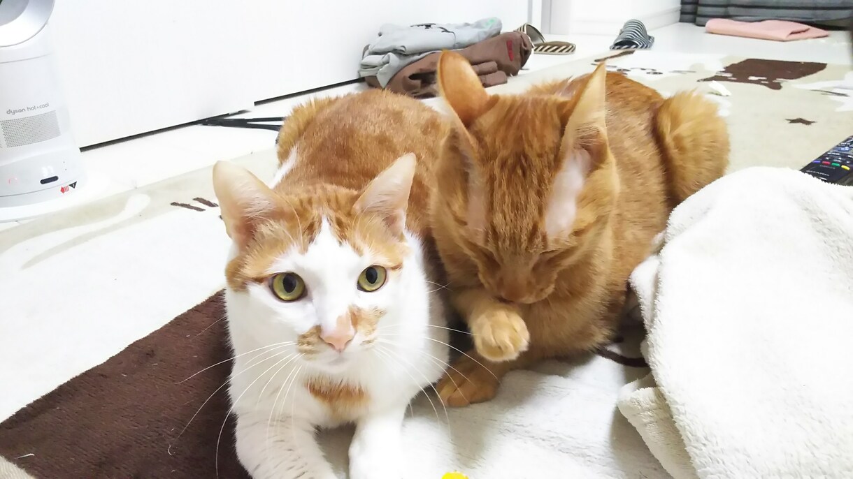 画像編集・加工！悩んだらまず聞いてください！！ます お急ぎ・枚数・金額お気軽にご相談してください。 イメージ3