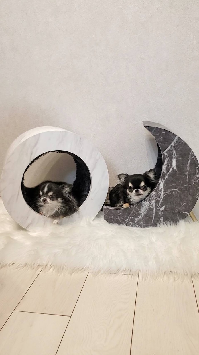 可愛いペット専用グッズをデザインします あなたの愛犬・愛猫の為だけのグッズのデザインイメージ製作 イメージ8