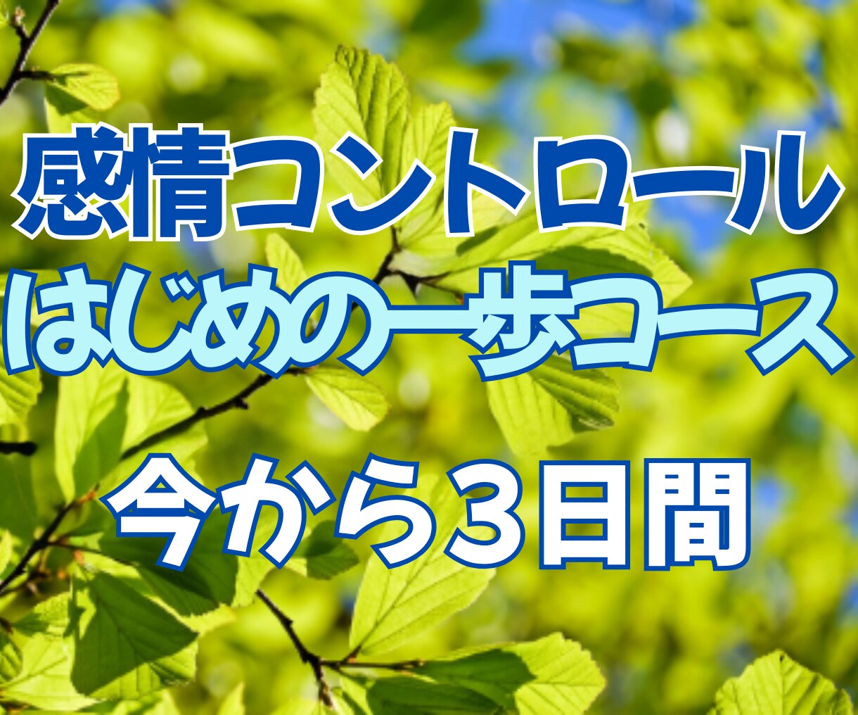 怒りや悲しみ、書き殴ってください！受け止めます 元幼稚園教諭が、あなたの3日間感情コントロールに伴走します！ イメージ1