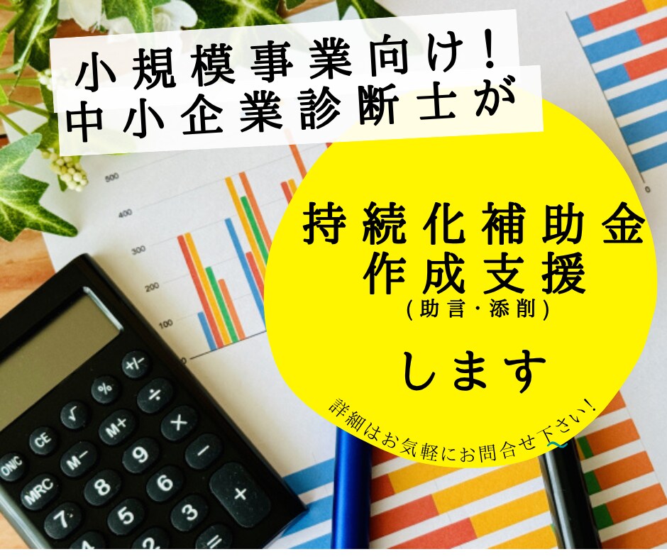 中小企業診断士が各種補助金申請書作成支援します 中小企業診断士が補助金申請書作成支援/添削します イメージ1