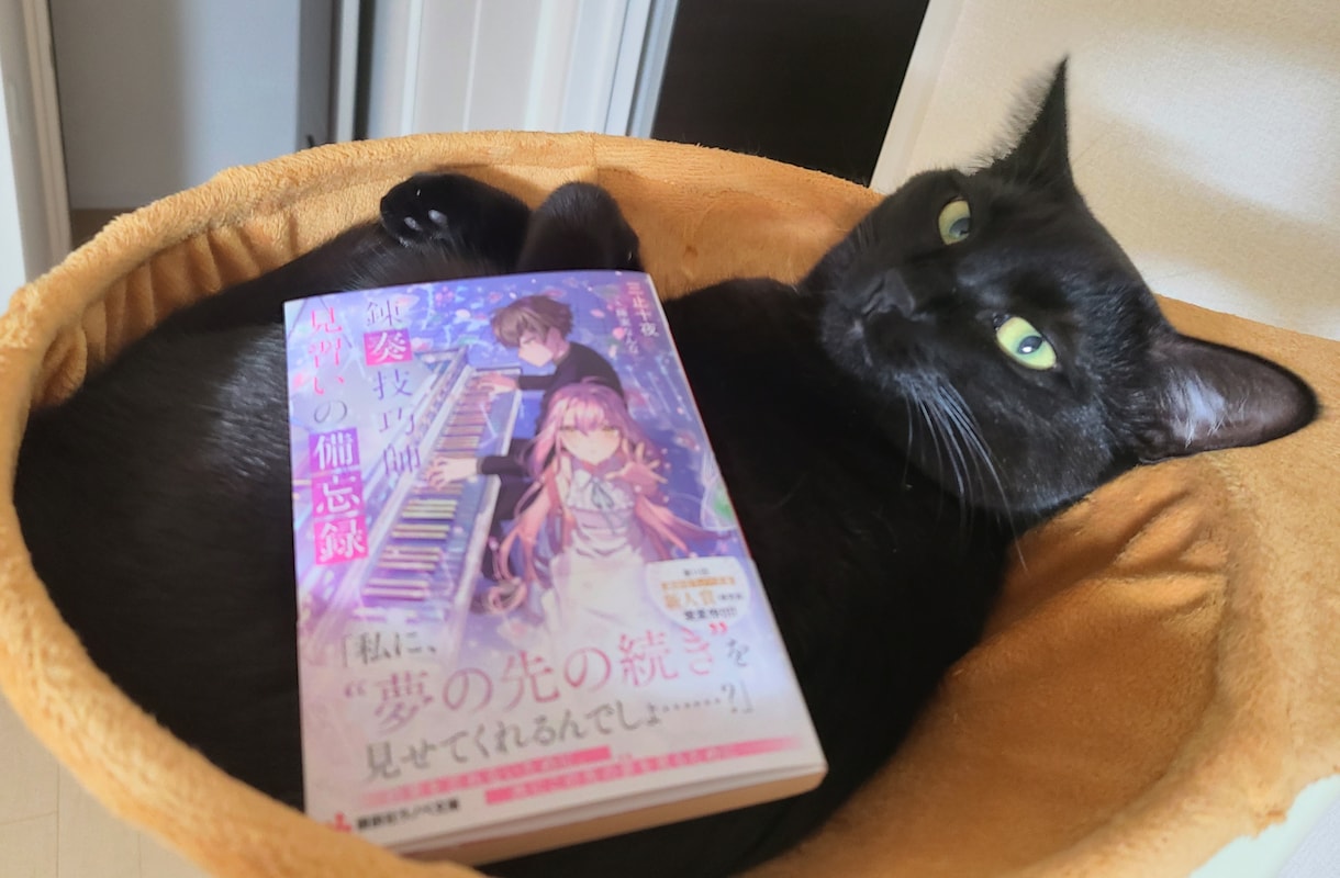 プロのラノベ作家があなたの物語を〝企画〟します ～ラノベ新人賞５３９作品のTOPに輝いた実力をあなたに！～ イメージ1