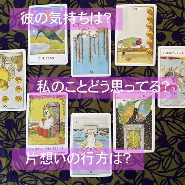 恋愛／人間関係のお悩みをじっくり聞いて解決します ハッピーエンドへ向けて鳥タロットでサポートします！ イメージ2