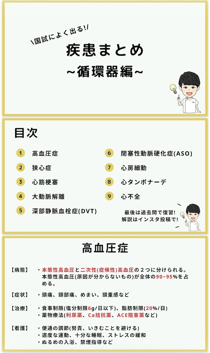 看護師国家試験 | 頻出疾患を徹底理解できます \効率よく勉強したいあなたへ/頻出疾患の要点をまとめた資料！ イメージ2