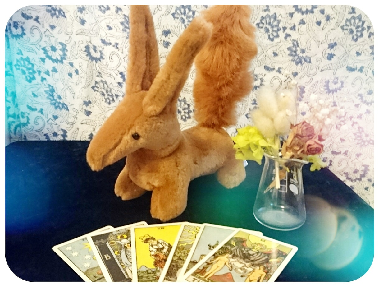 占ぬい！タロットorジオマンシーでモフモフ占います ぬいぐるみ占い◎オマケでラッキーアイテムもお伝えします^^ イメージ1