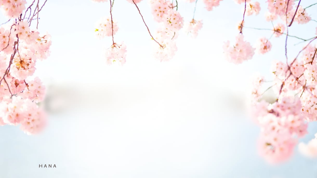 新人看護師さん⭐️お悩み相談のります 新人看護師時代に転職経験あり✅辞めたい、辛い、愚痴、ストレス イメージ10