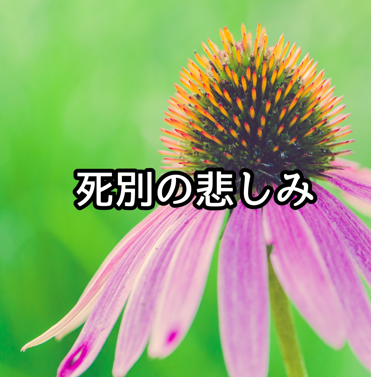 亡くなった方への辛い気持ちにそっと寄り添います 泣きたい/やるせない/どんな思いも吐き出してください イメージ6
