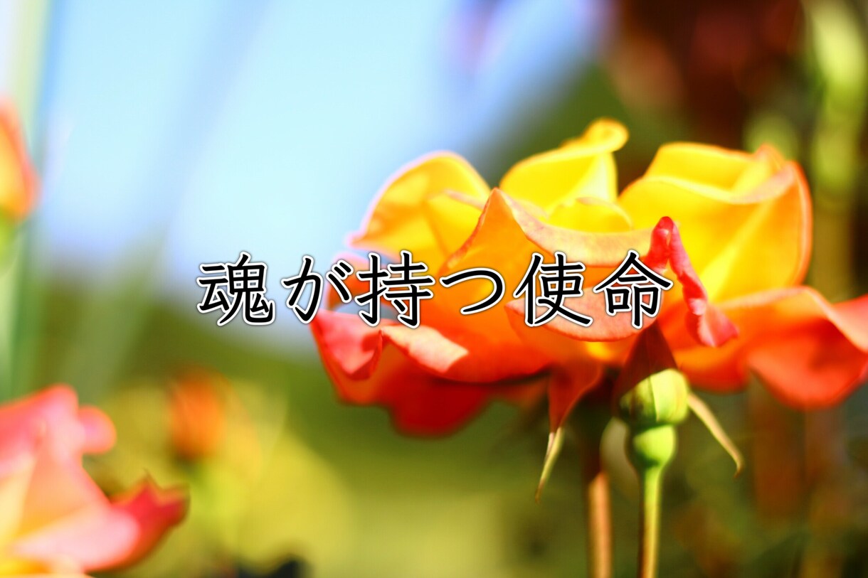 今世のあなたが目指す姿をお伝えします なんのために生まれてきた？守護霊に聞きます イメージ1