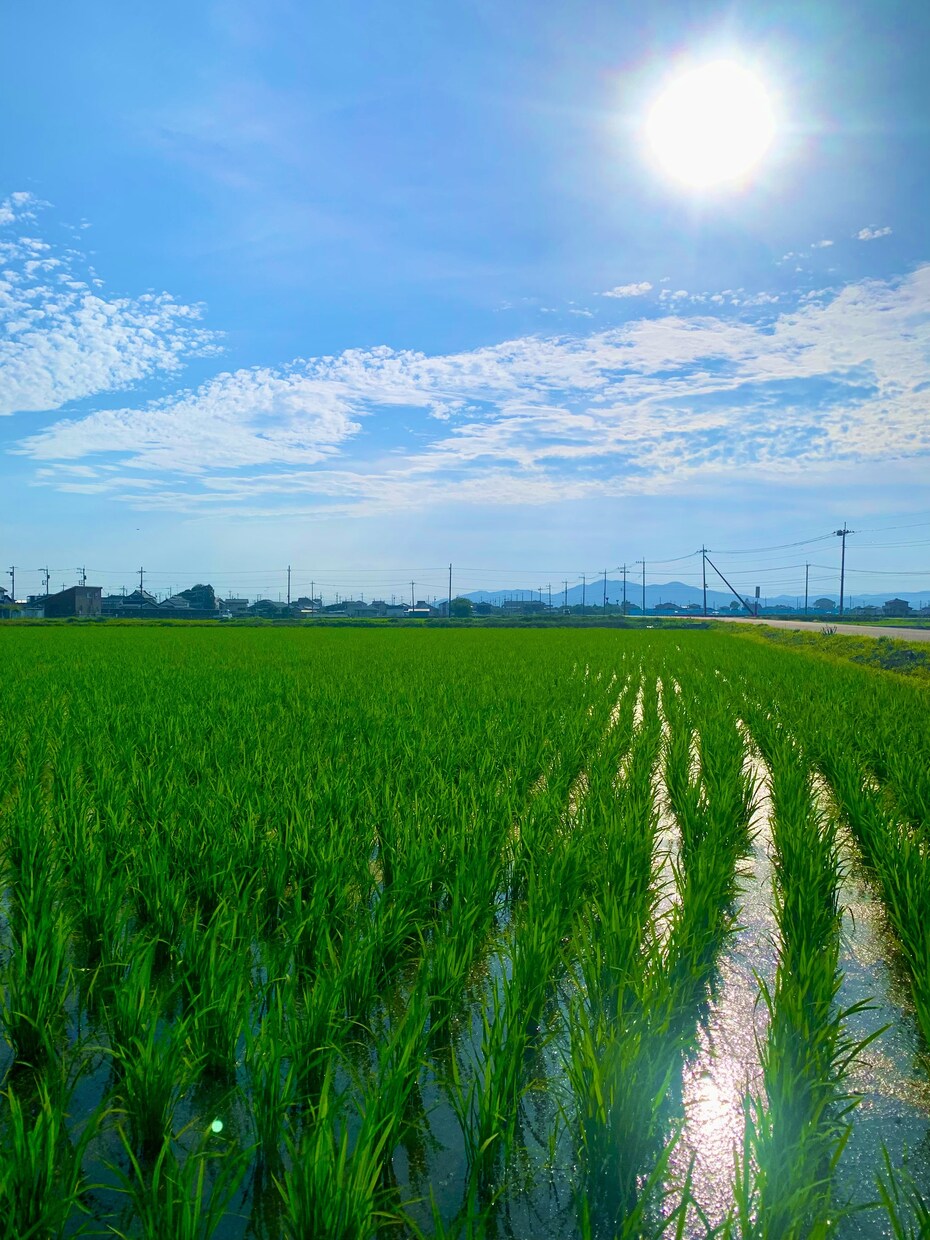 安心できる"話し相手"になります 「気軽に愚痴・悩みを話してスッキリしませんか？」 イメージ1