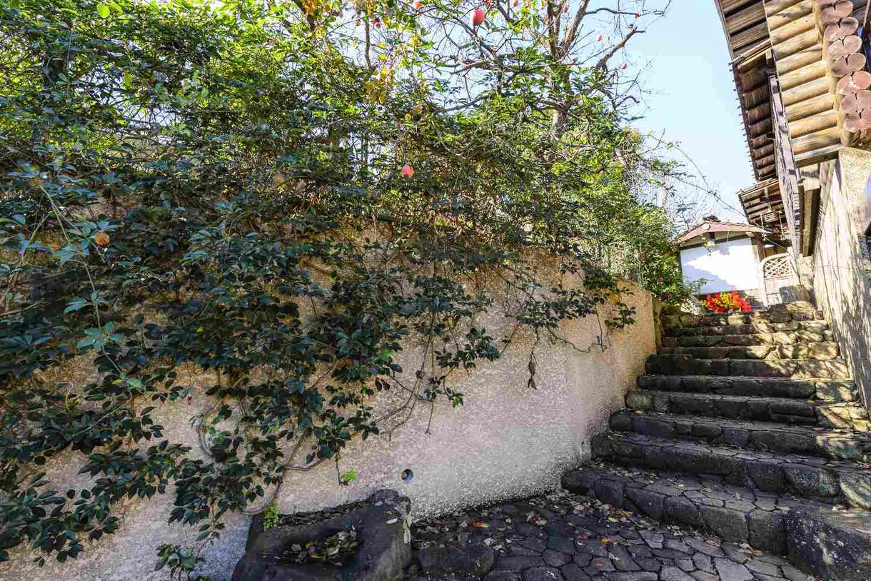納品枚数200カット以上・成人式写真撮影代行します 三溪園・紫栄庵でプロカメラマンが高品質な写真をご提供致します イメージ8