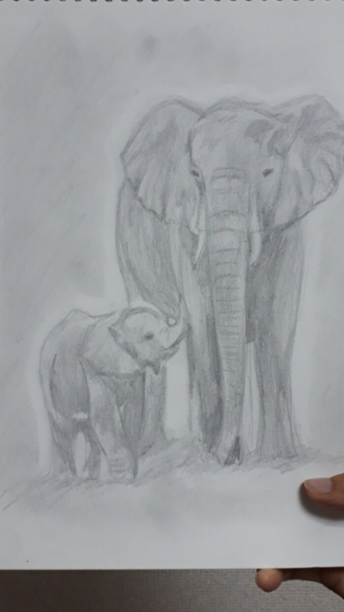 動物イラスト描きます 大切なペットやお気に入りの動物、心を込めて描きます！ イメージ3