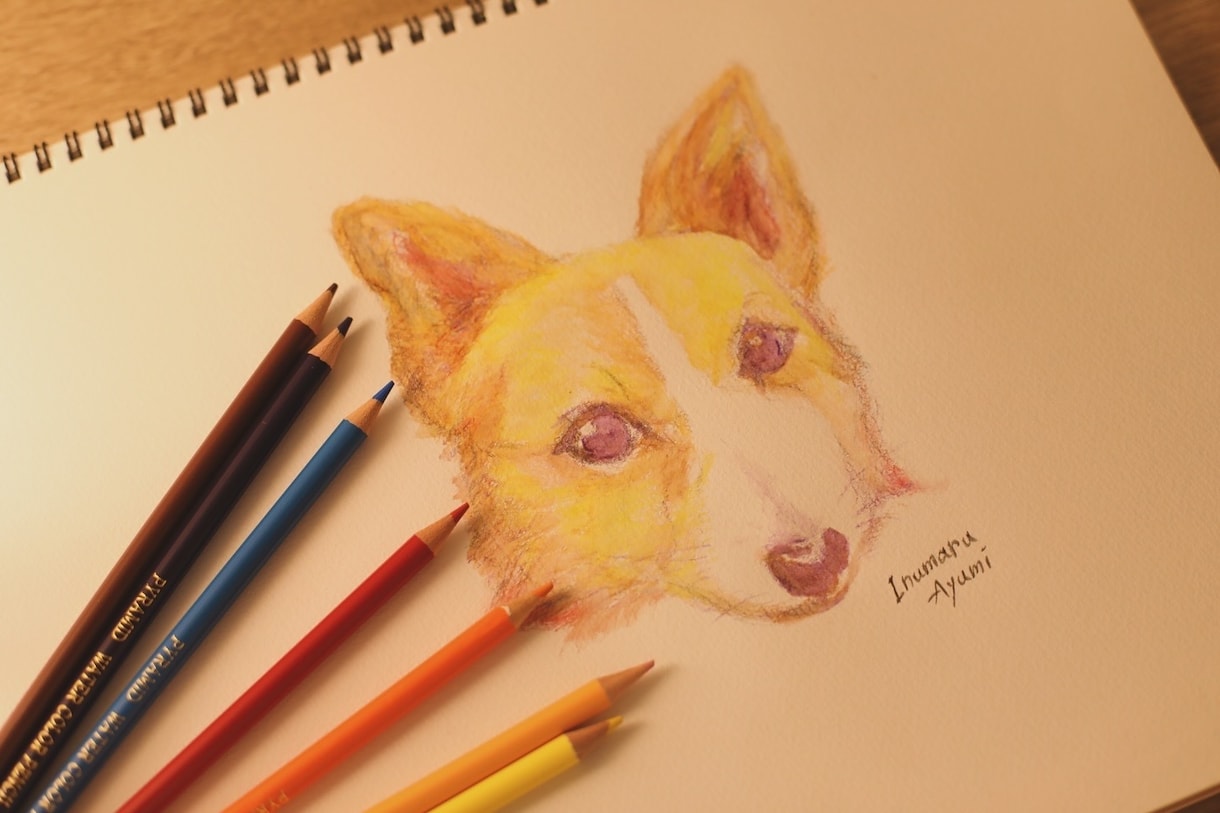 ペットの似顔絵描きます アナログでペットの似顔絵を描きます。 イメージ1