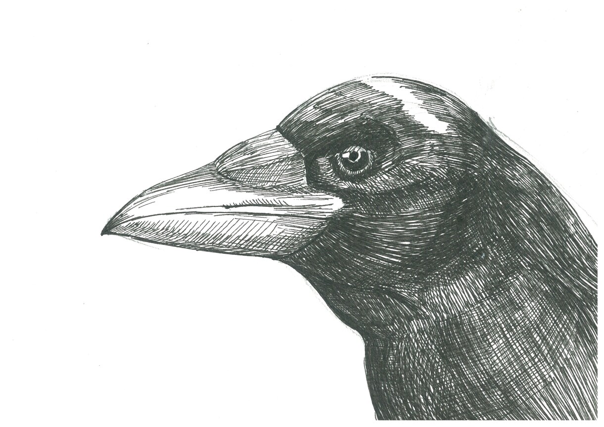 味のあるイラスト作成致します ボールペン画で雰囲気のある絵ならお任せください。 イメージ3