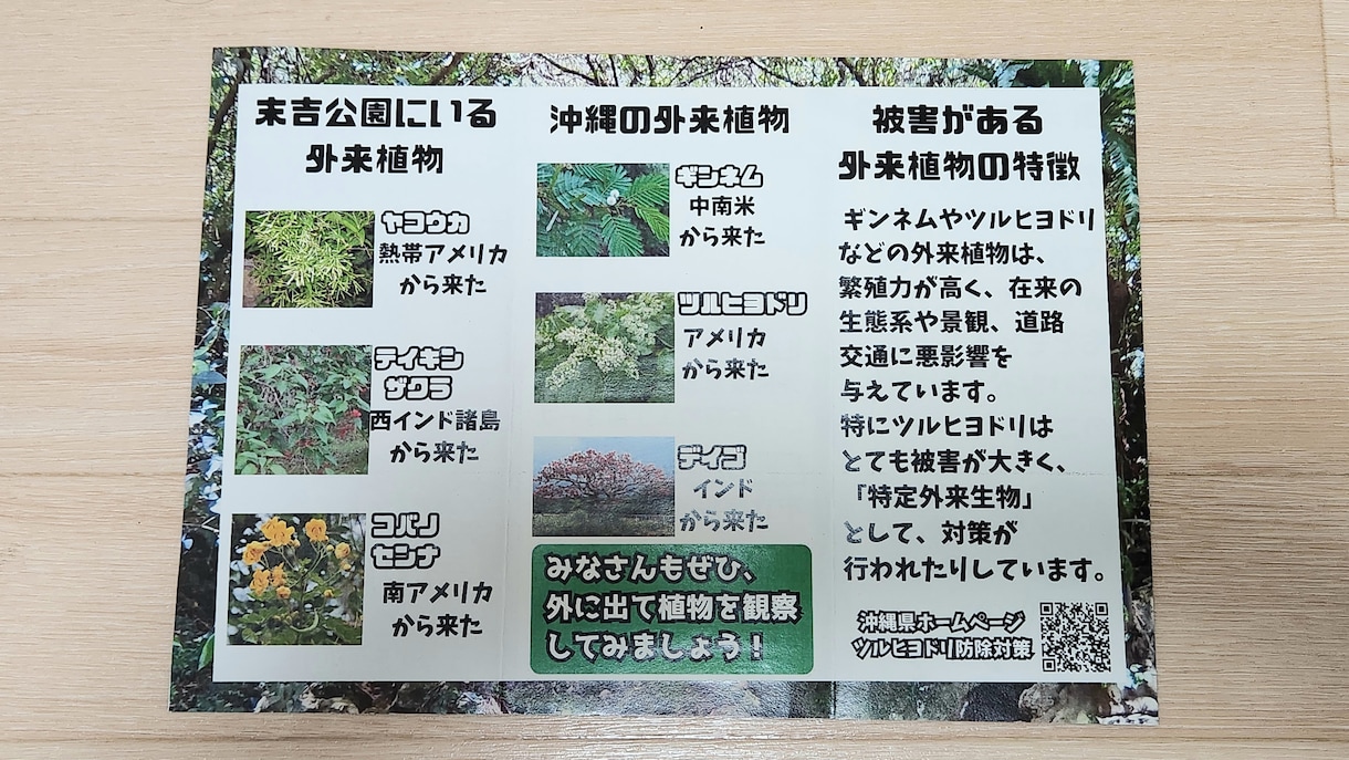 中学２年生の息子が心を込めてチラシを作成します 皆さんのアドバイスを頂きながらチャレンジさせてください。 イメージ2