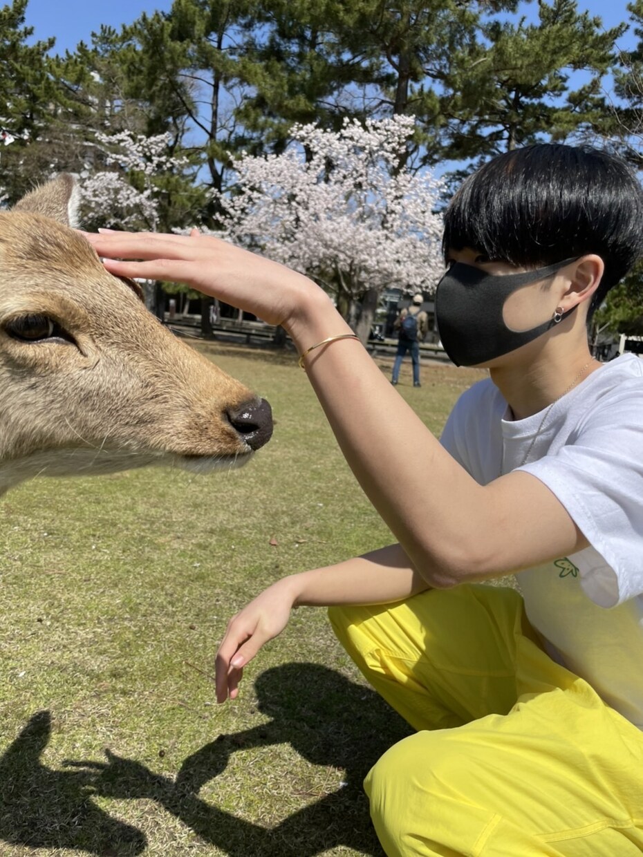 失恋の愚痴など聞きます 失恋などの辛い話は人に話した方が楽になると思いませんか！ イメージ1