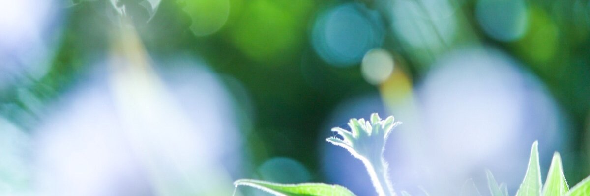 貴方には才能があると言い続けます 自分に劣等感を感じている人にオススメ イメージ1