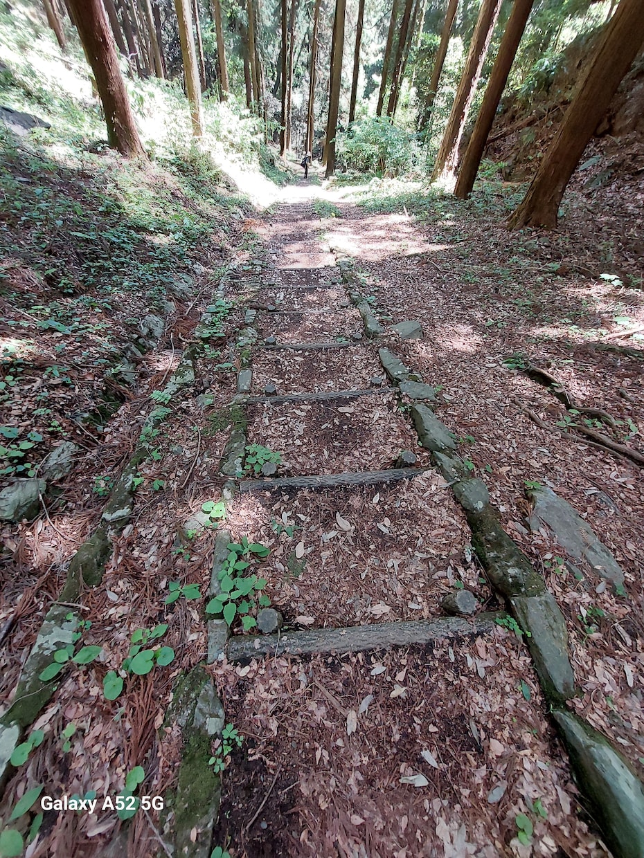 誰にも言えない悩み、静かにお聴きします 心が疲れたとき、誰かと話したいとき。静かに耳を傾けます。 イメージ4