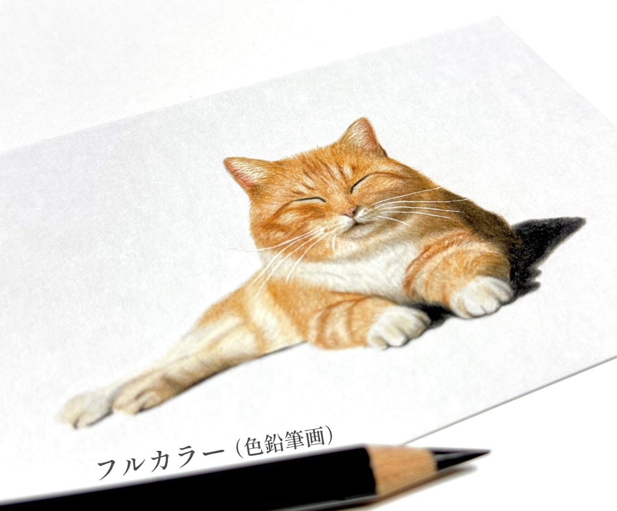 大切なペットとの思い出を鉛筆・色鉛筆画にします 大切な家族との幸せな時間を、温もりある作品として残します イメージ4
