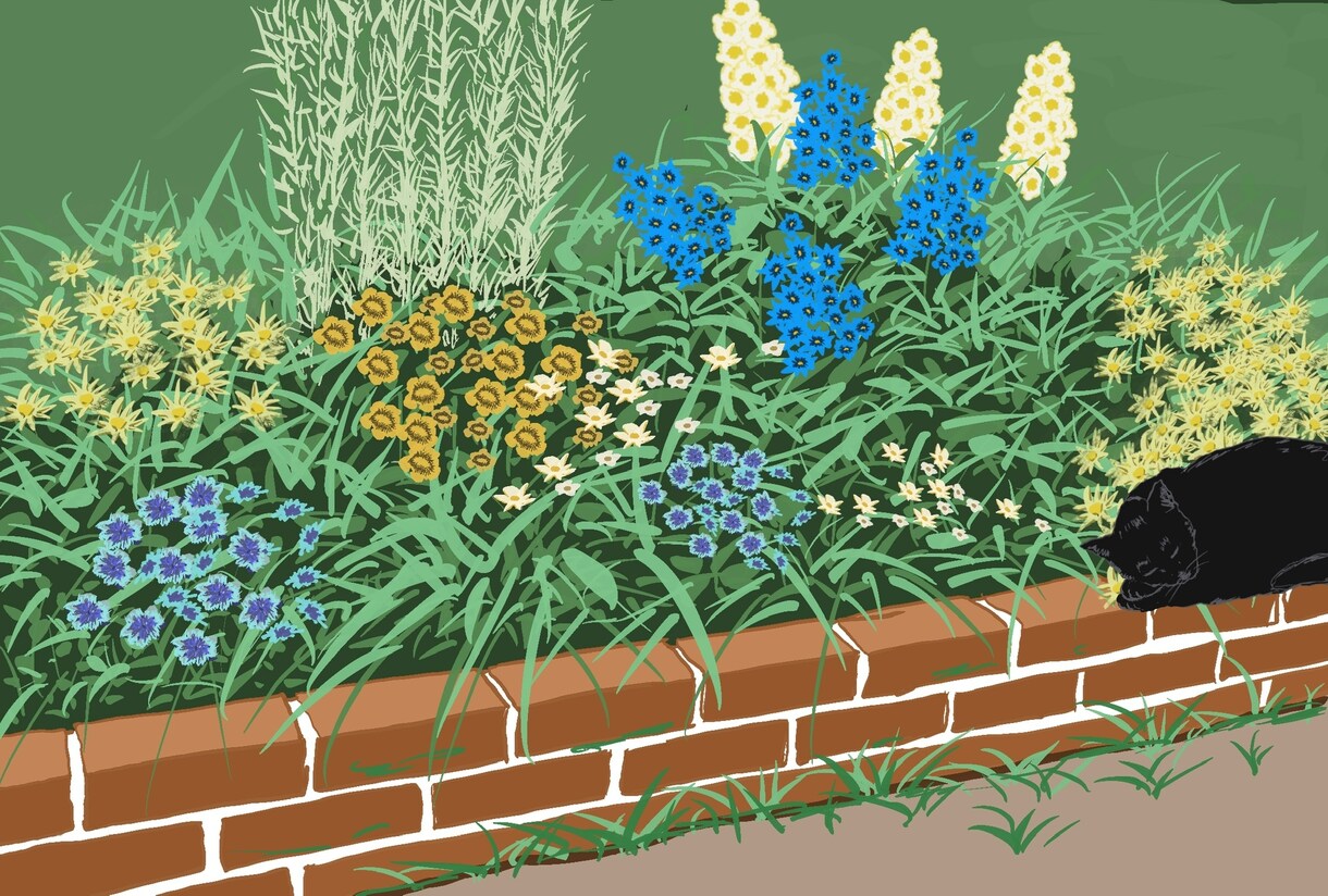 オシャレなお庭や公園のイラスト描きます あなたのお庭をイラストにします イメージ3