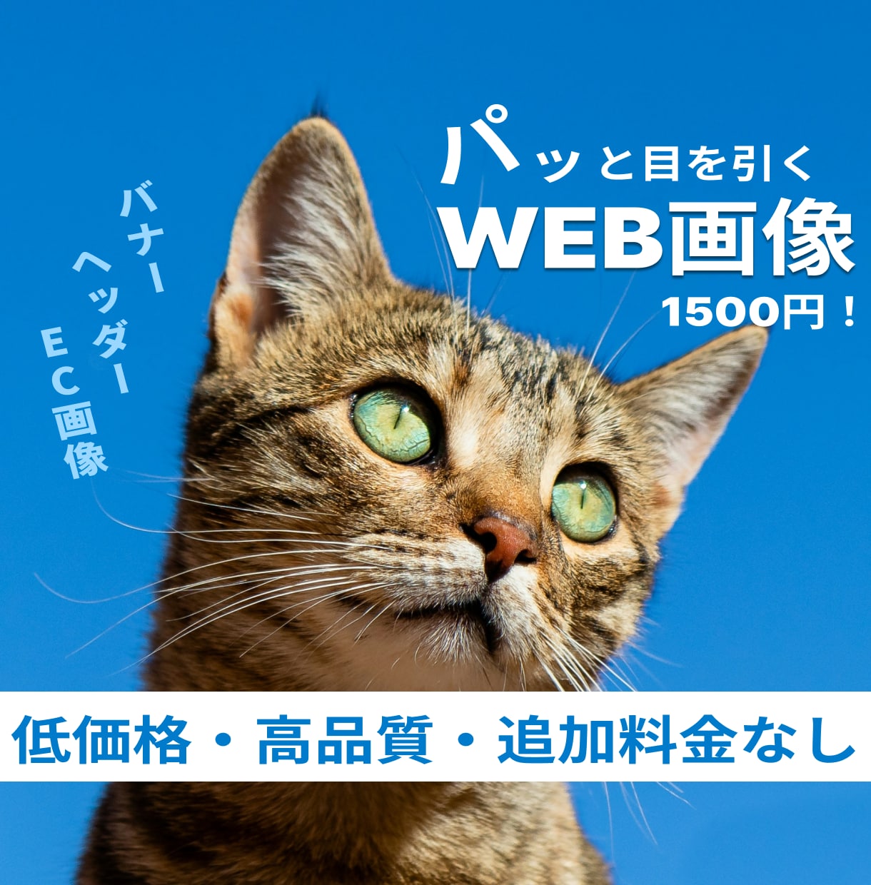 低価格・追加料金なし・修正無制限でバナーを作ります おしゃれな広告画像を低価格で作りたい方、ぜひご相談ください！ イメージ1