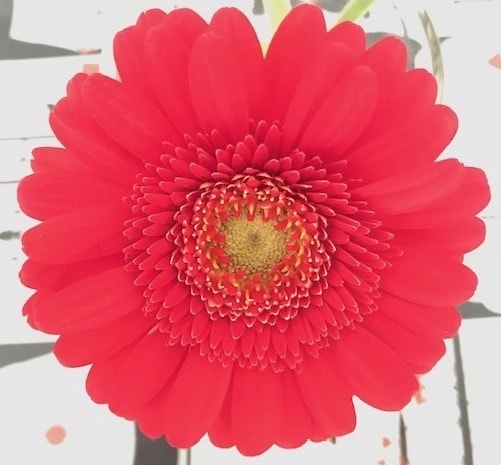 働く貴方の悩みと行く末鑑定します 。今のまま進むとどうなるか？明るい未来に進むには？ イメージ1