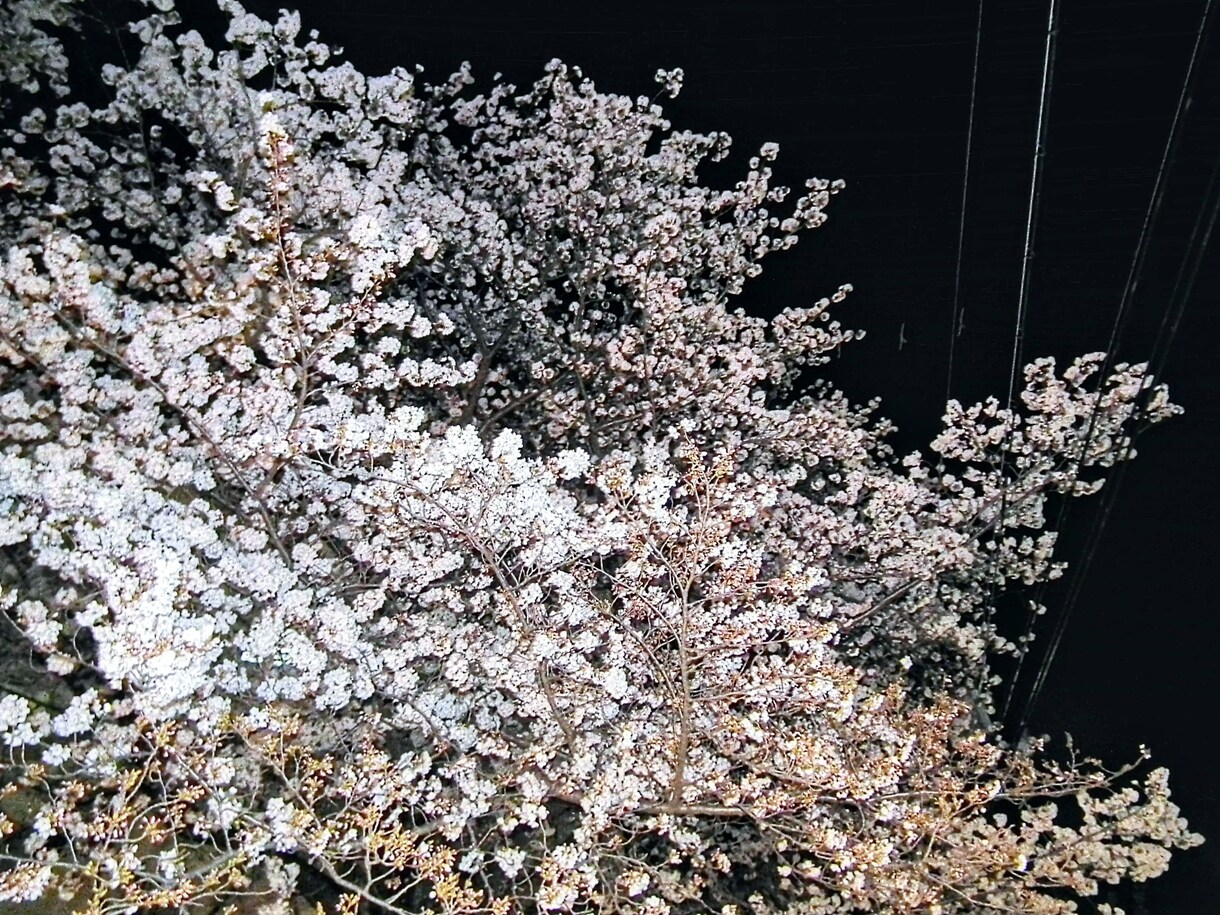 写真の撮影をして自分が綺麗！と思ったのを提供します 風景の撮影を主に行っております！ イメージ3