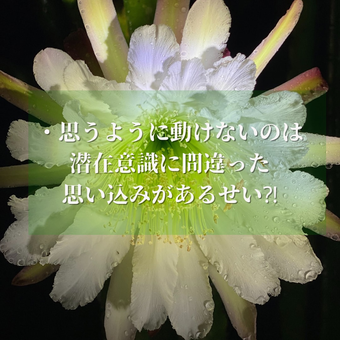 潜在意識に深く入るヨガ＆ヒプノセラピーで解決します 心身バランス整え相乗効果！直感☆集中力＆洞察力UP《４時間》 イメージ6