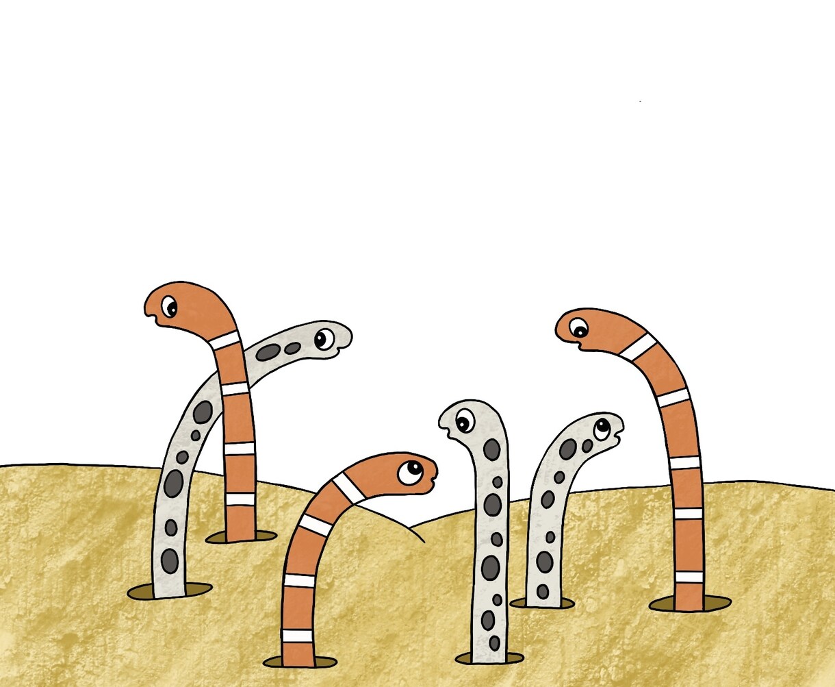 心がほっこりする可愛い動物のイラストを描きます 絵本の世界へ飛び込んだようなイラストを制作します イメージ9