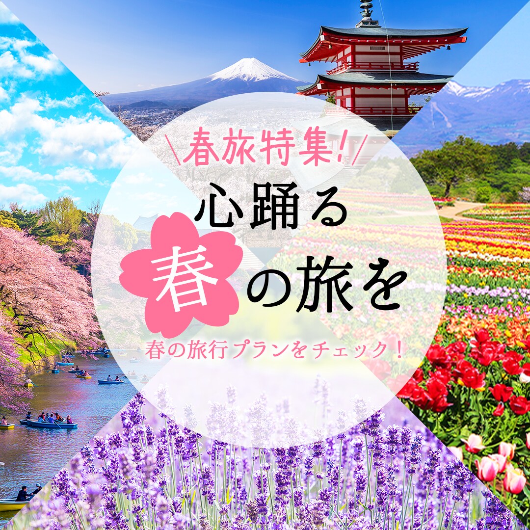 伝わるバナーを2案+修正無制限で提案します 初めての方にも丁寧な対応 高品質複数提案 イメージ2