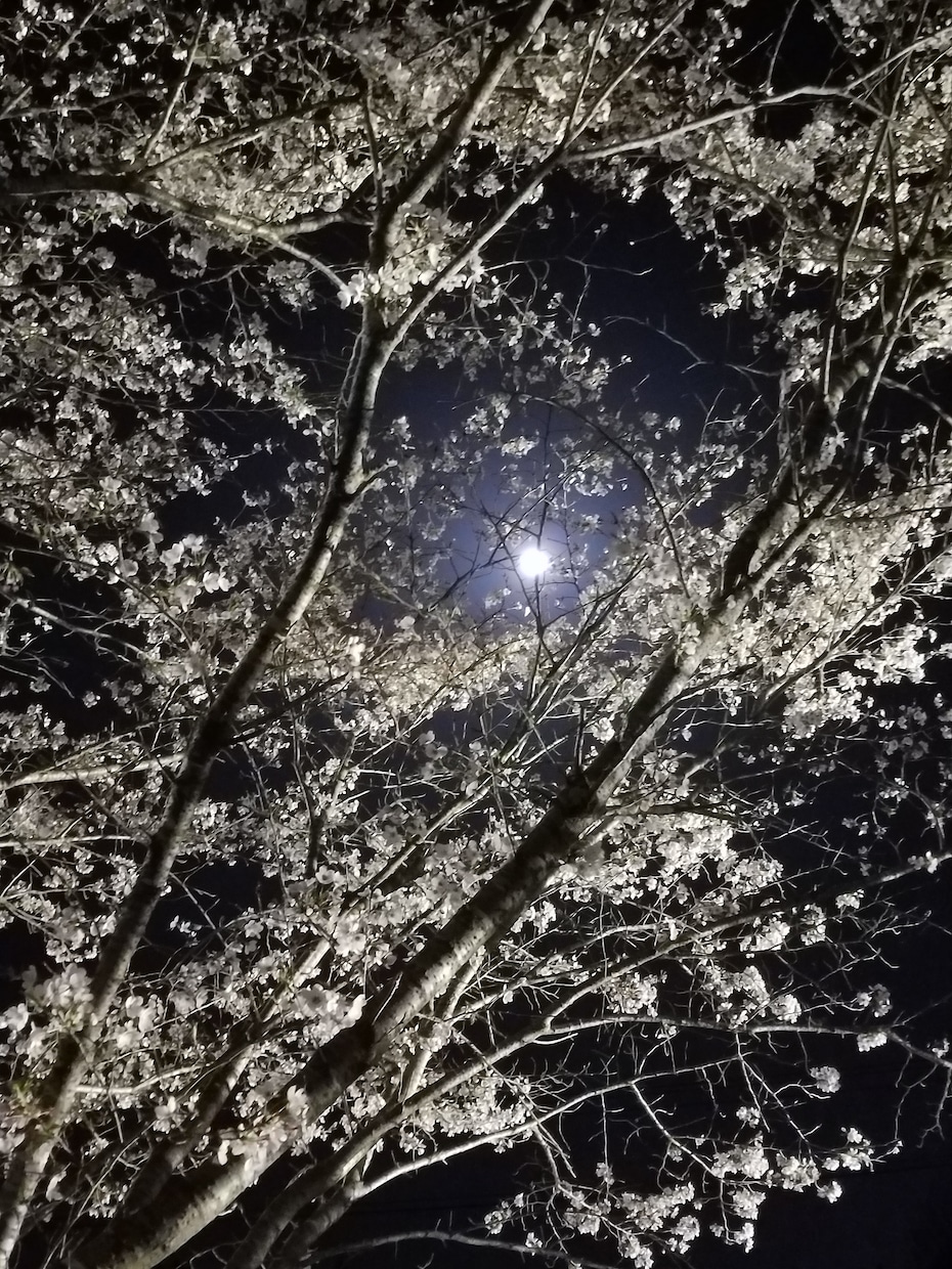 ドン底から這い上がった僕が何でも話し聞きます 思い詰めないで小さい悩みや大きな問題僕にぶちまけて下さい。 イメージ1