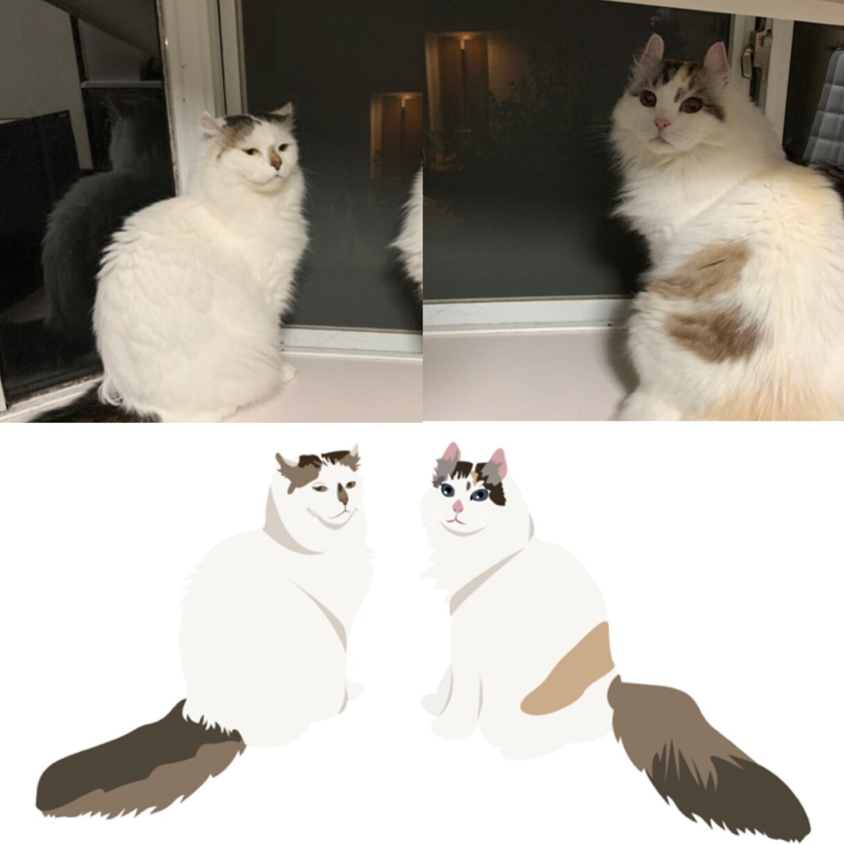 写真や手描きのイラスト制作致します 写真や手書きのイラストなどイラレ等のデータに！ イメージ3