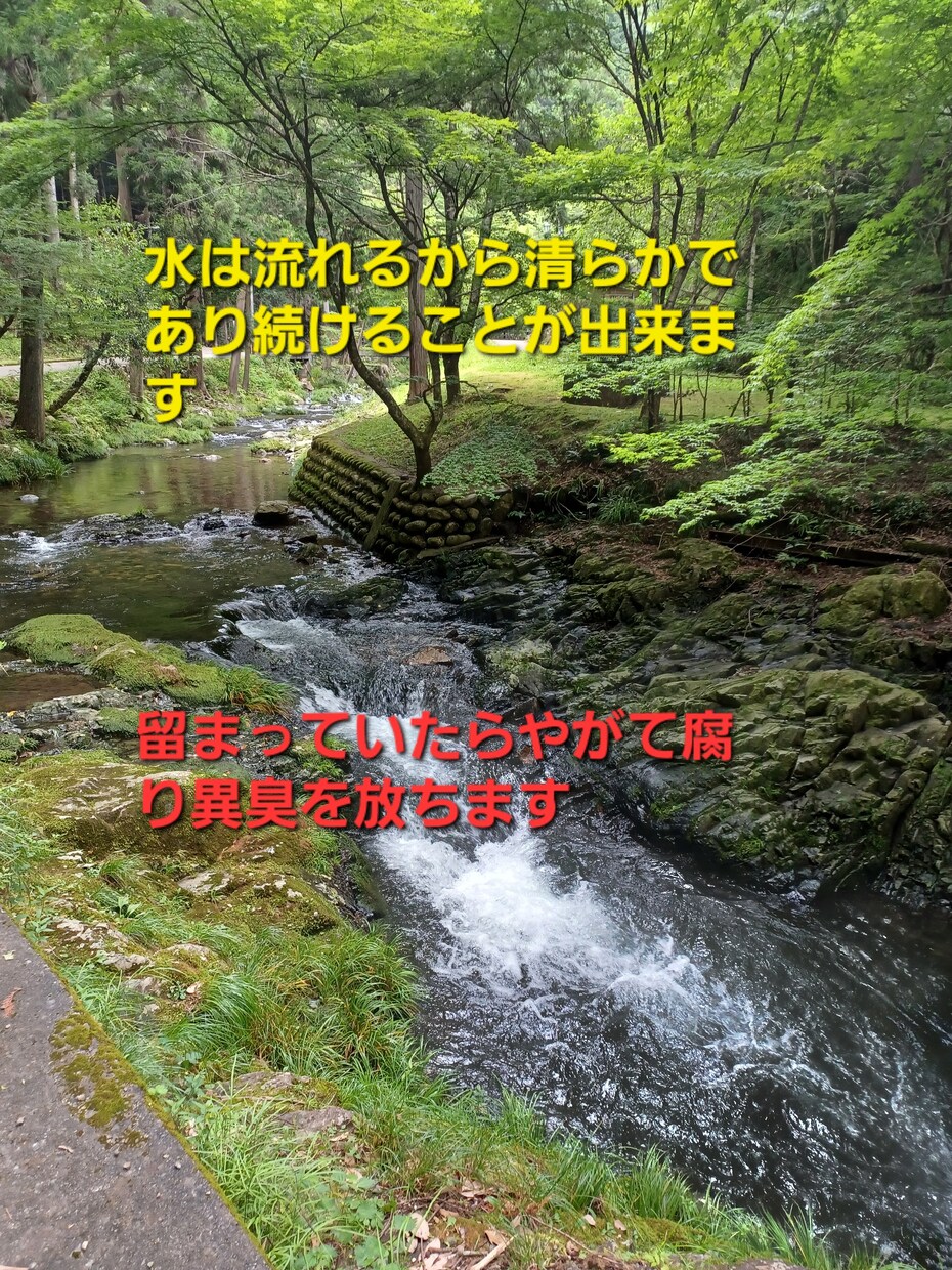 頑張るのにツラい気持ちをあなたと紐解きます 張りつめた心を和らげる元対面占い師がいるこころの保健室 イメージ4
