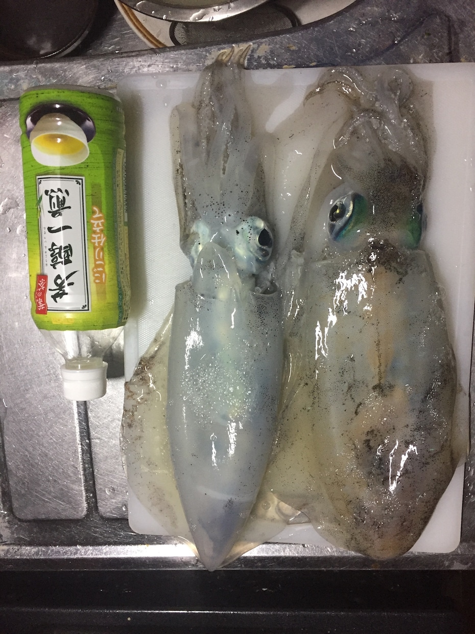 釣れない方必見！エギングでお悩みの方釣り方教えます エギングを始めたい方、なかなか釣れない方はどうぞ。 イメージ2