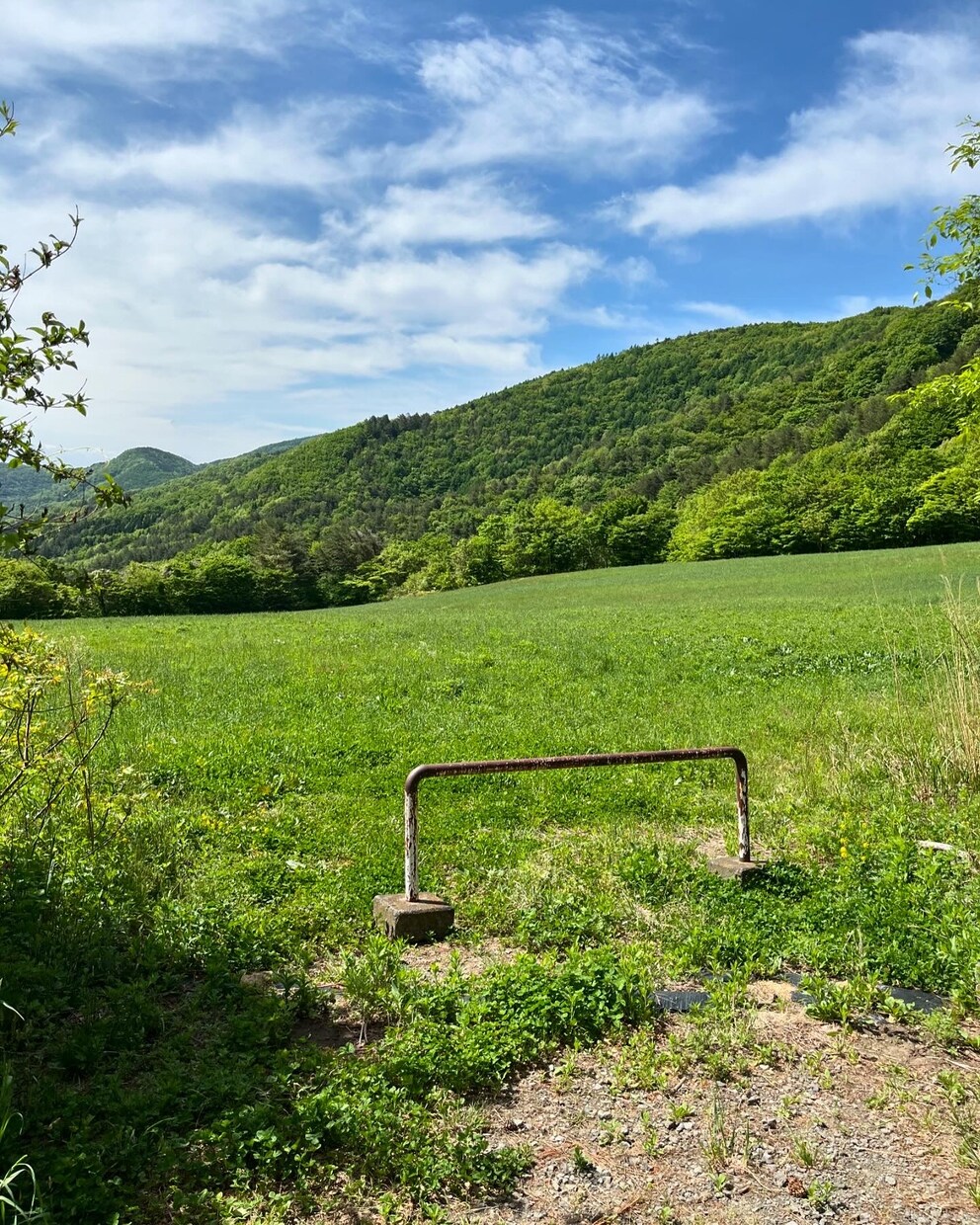 生活の中で撮れる自然な写真を提供ます 初心者ならではの自然な視点での写真です イメージ10