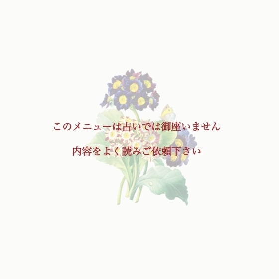 霊視鑑定 今あなたへ必要なメッセージ伝えます 今必要なメッセージを守護している人よりお伝えします イメージ2