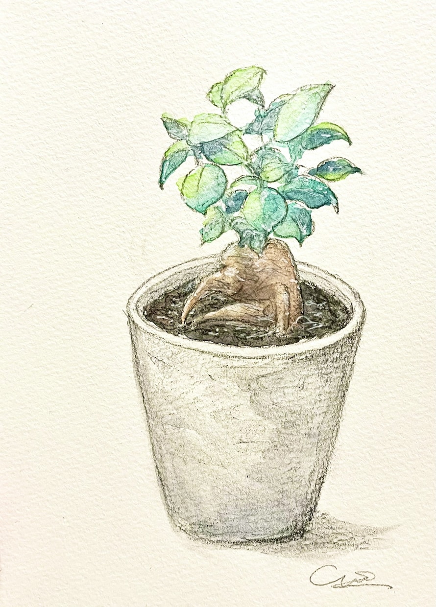 手描きでフードや植物のイラストを描きます 温もりのあるイラストで商品やお店のファンを増やしたい方へ イメージ2