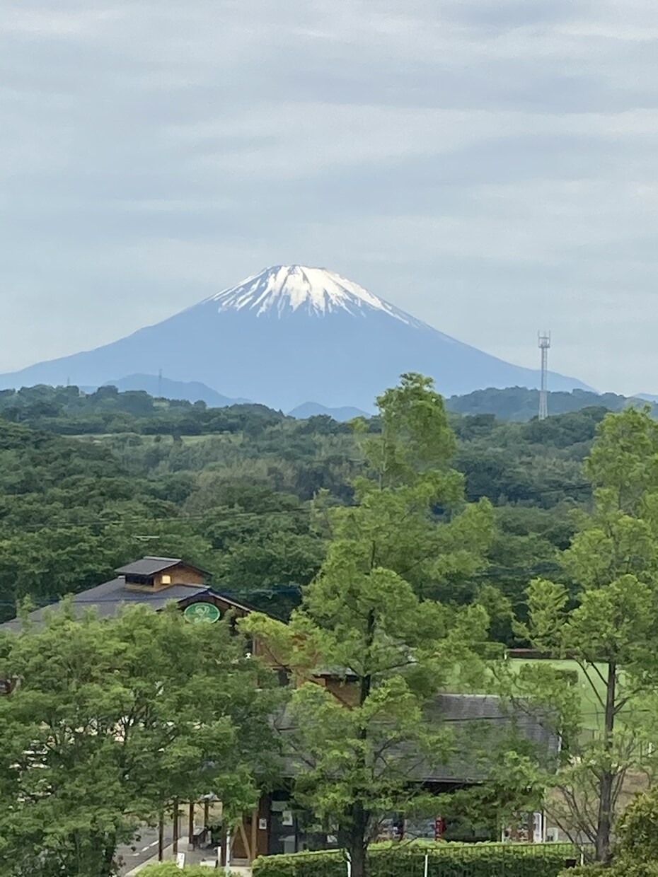 写真を撮ります 一眼レフを使います。提供する写真枚数はとても多いと思います。 イメージ1