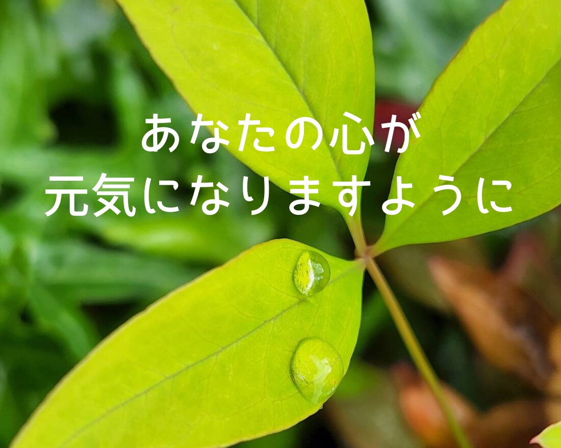 今話しましょ☆頑張ってるあなたの気持ちお聞きします 介護士が全力応援☆心の声に傾聴☘️愚痴☘️雑談☘️仕事☘️ イメージ9