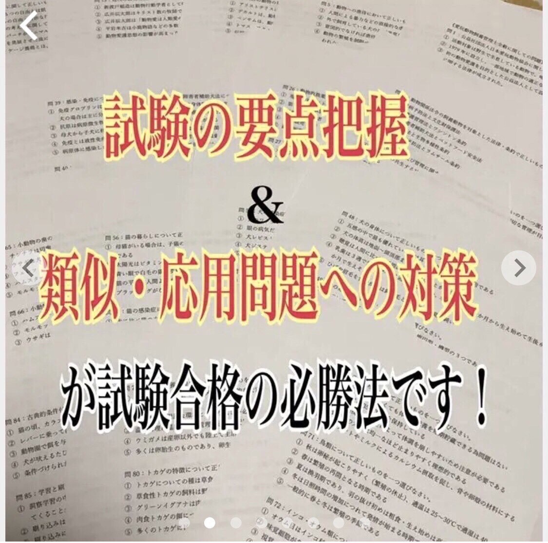 愛玩動物飼養管理士2級の試験対策問題集を提供します 【過去問〜最新の法改正まで全て網羅してます】 イメージ3