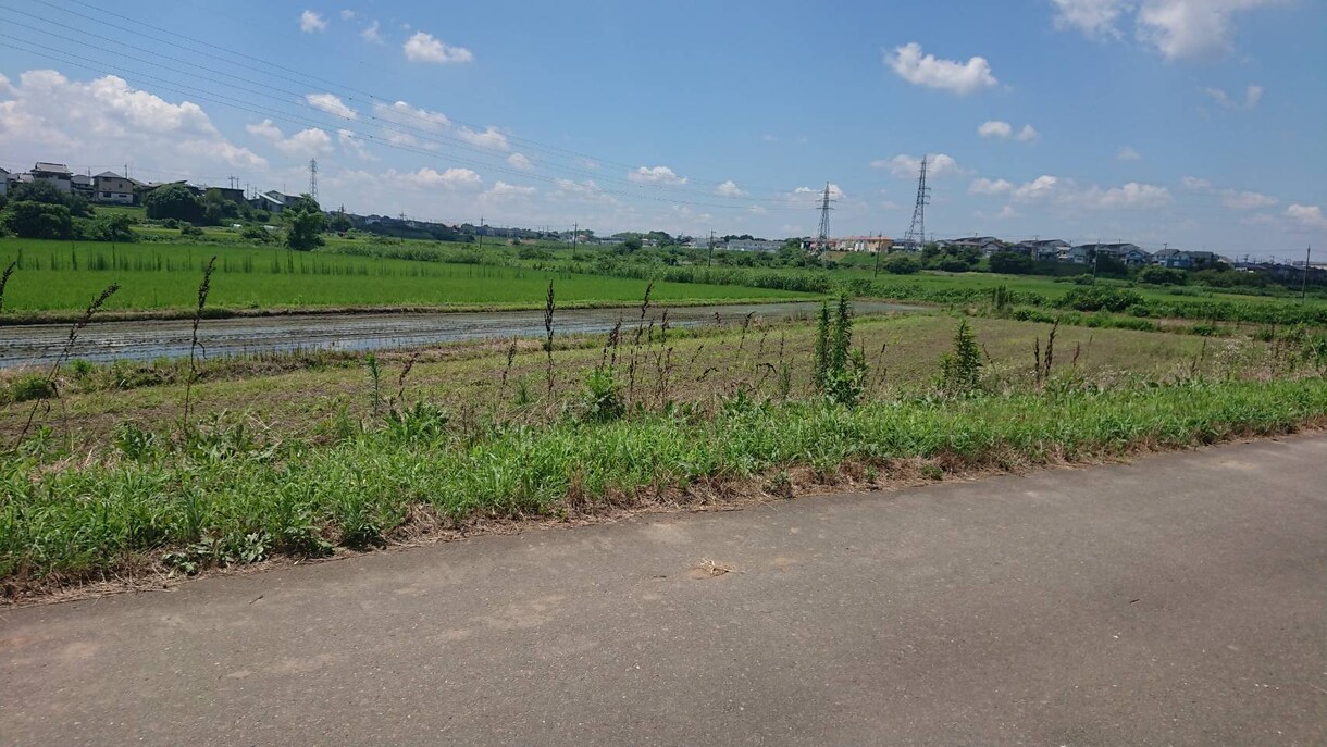 優しい日常の風景写真を提供します そのままの、何気ない日常の写真に加工せず販売いたします。 イメージ2