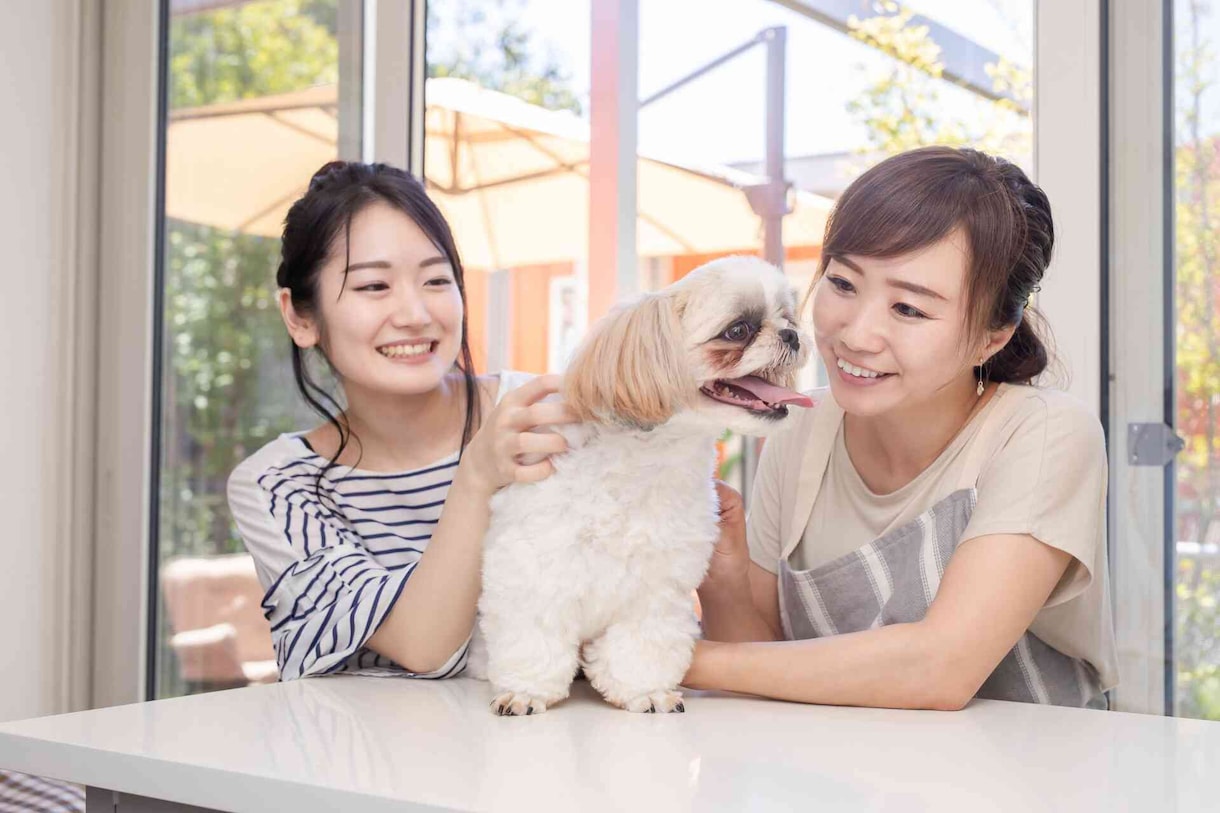 アニマルコミュニケーターデビューへの道筋伝授します 動物と関わることを仕事にするための超具体的ステップを解説 イメージ2