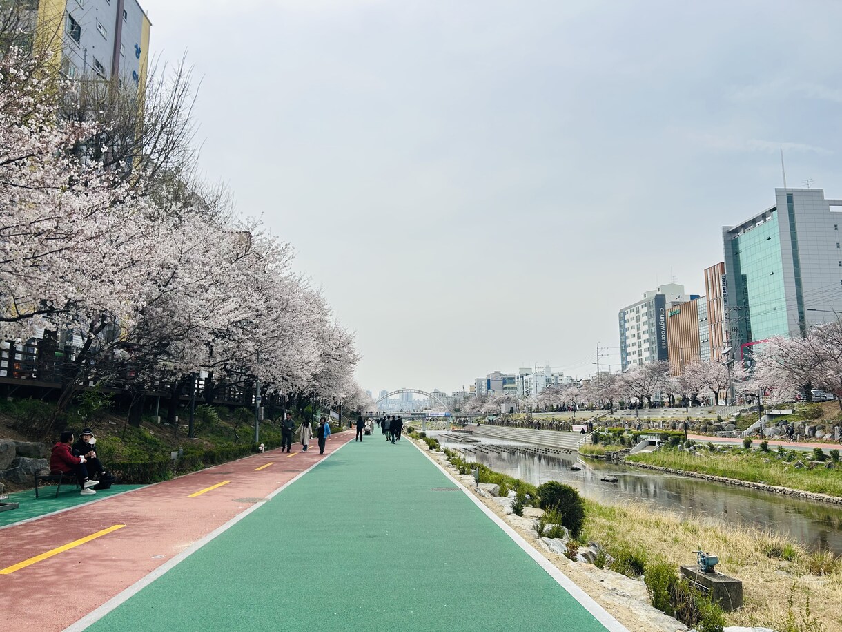 韓国留学のご相談承ります 韓国留学まるっと相談◎大学/語学堂/ワーホリ対応 イメージ9